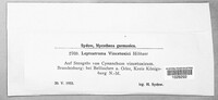 Image Associated With the Occurence